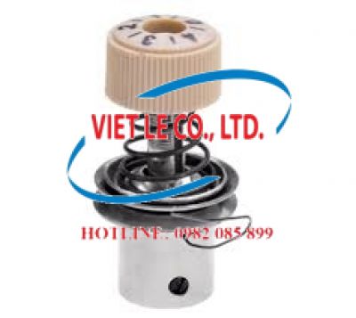 Đồng tiền / Cụm đồng tiền (các loại)